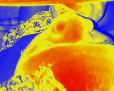 thermal sloppy blowjob