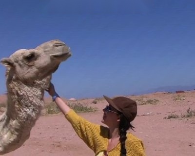 Pretty Girl Has Sex On Sandy Beach WTF Pass