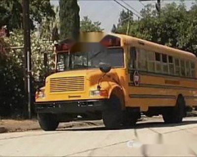 rachel rotten blowjob brunette bus cumshot