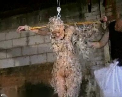 feathered asian bondage and