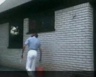 lucky window washer