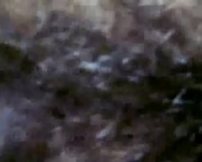 hairy pussy fucking