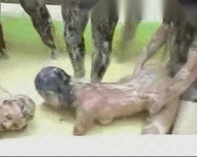Cum on her face Tornup