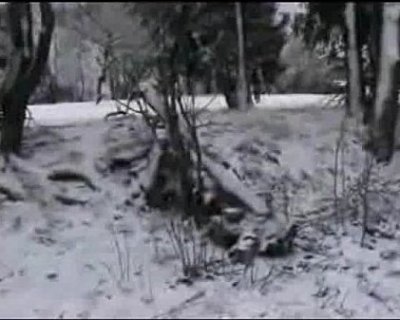 Snow Fucking Hard
