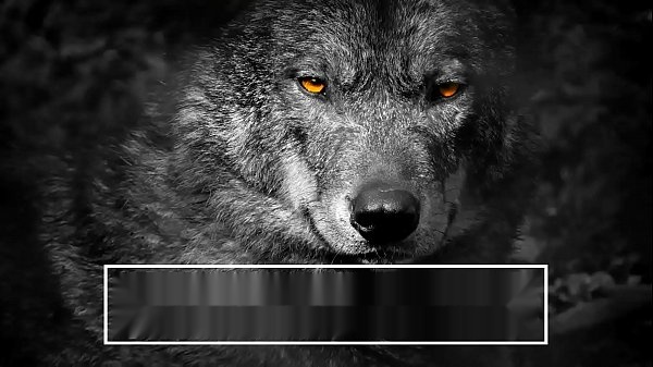Mature Flint Wolf Dominates My Mouth: A Gay Anal Creampie Adventure